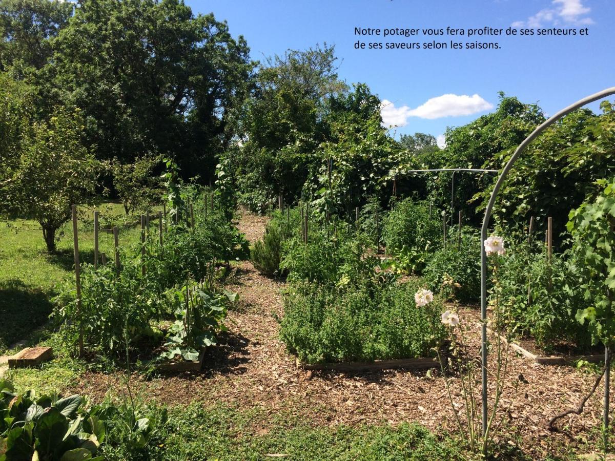 Lancié Le Grain De Louise B&B 외부 사진